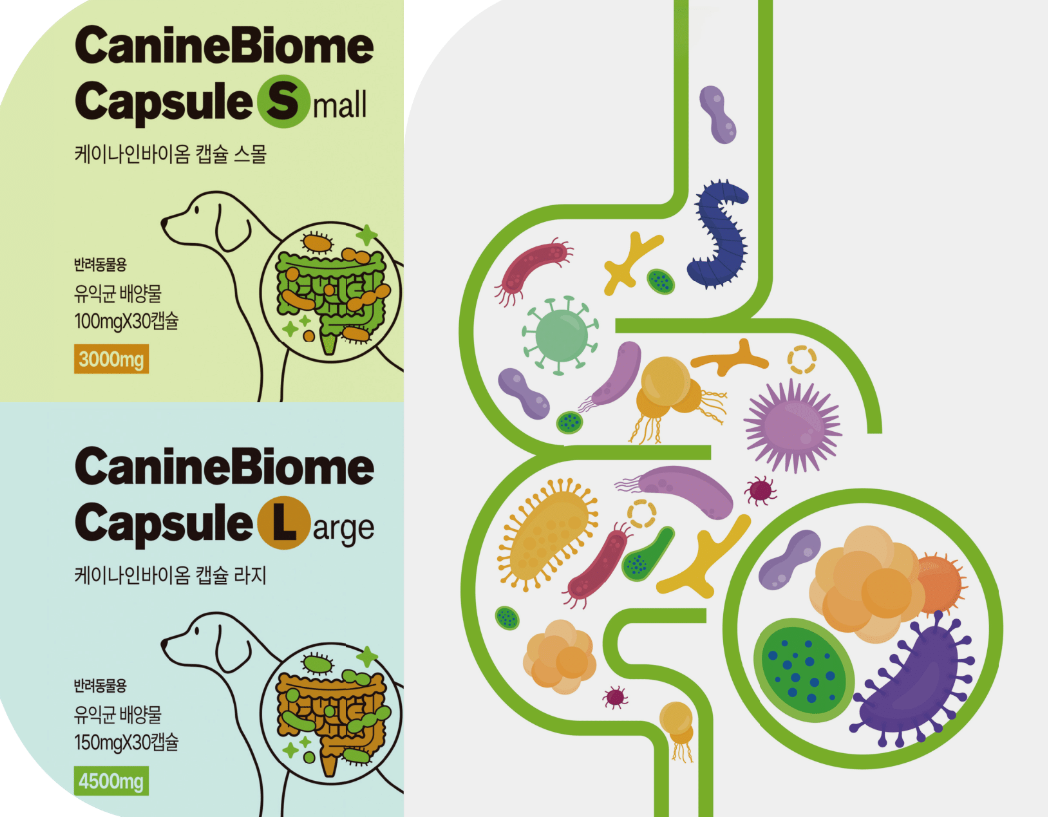 스크린샷 2026-04-24 125543.png